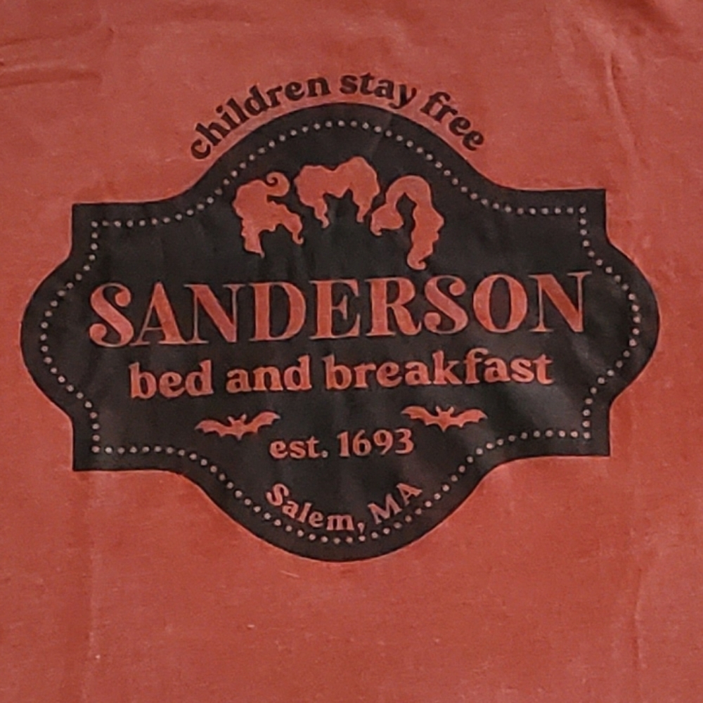 Hocus Pocus Sanderson Sister's Tee EUC - Picture 2 of 4